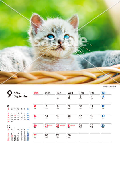 猫 9月