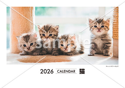 猫 表紙