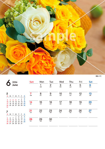 フラワー 6月