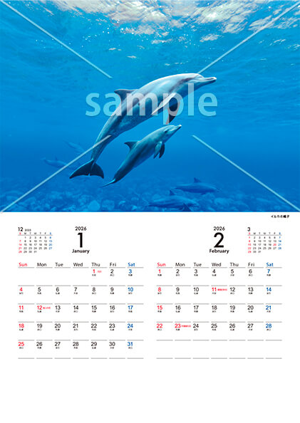 Marine Blue 1月／2月