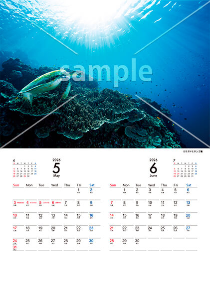 Marine Blue 5月／6月