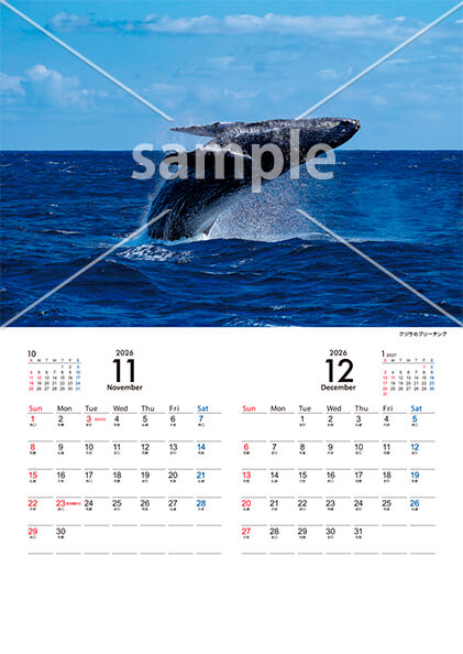 Marine Blue 11月／12月