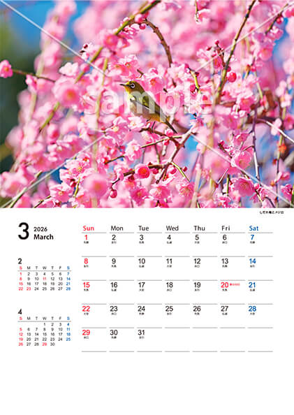 四季の風景 3月