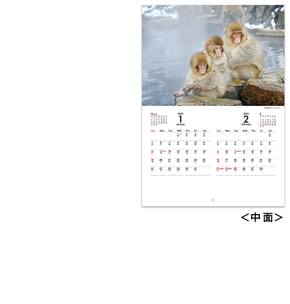 Animal calendar