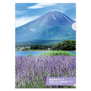 富士山とラベンダー(表)"
