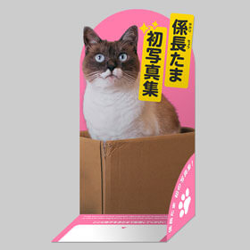 書籍平積みディスプレイ:立体物も作れます