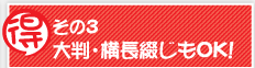 お得その３大判・横長綴じもOK!
