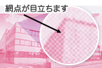 網点が目立ちます