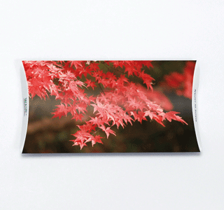 照葉（てりは）