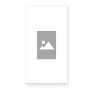 ワンポイントあり 縦向き