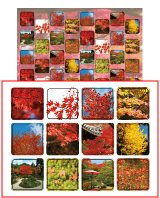 名日本の秋 12種