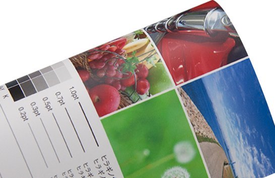 PP貼り加工:マットPP