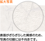 しこくてんれいは表面がざらざらした質感で写真には不向きです