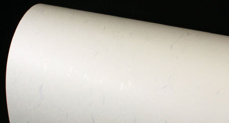 しこくてんれい