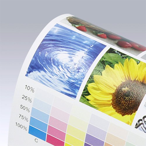 マットコート紙