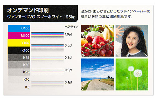 ヴァンヌーボVG スノーホワイト
