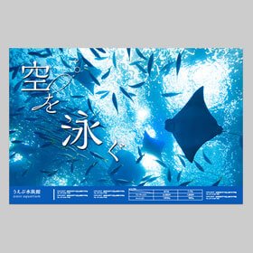 B0ポスター：インパクトのあるPRに