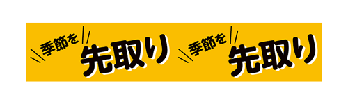 季節を先取り